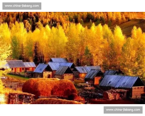 秋日阿勒泰,那束橙色的暖光